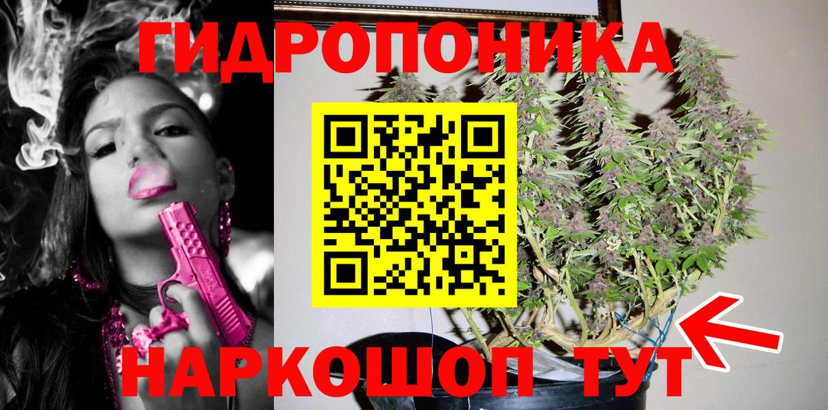 Шишки марихуана Ganja Йошкар-Ола